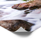 Herfstkleuren langs Bishop Creek, CA Poster (Hoek)