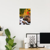 Herfstkleuren langs Bishop Creek, CA Poster (Thuiskantoor)
