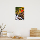 Herfstkleuren langs Bishop Creek, CA Poster (Keuken)