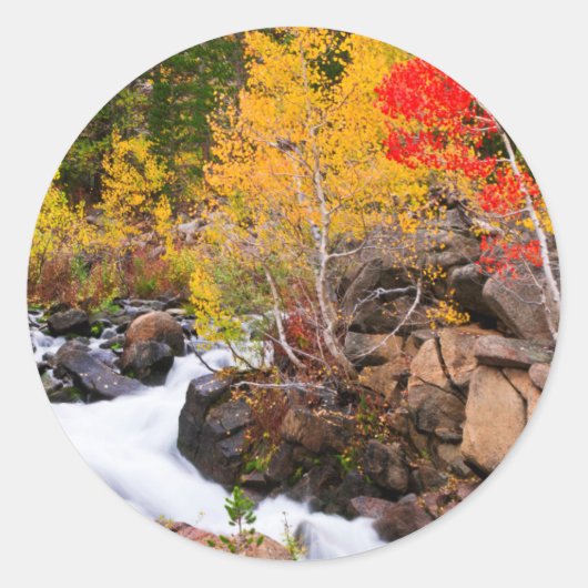 Herfstkleuren langs Bishop Creek, CA Ronde Sticker (Voorkant)