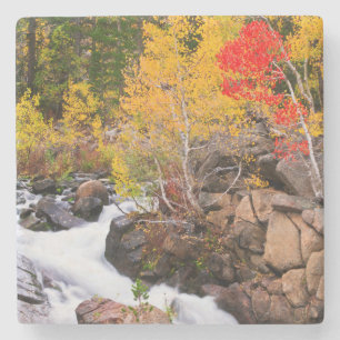 Herfstkleuren langs Bishop Creek, CA Stenen Onderzetter