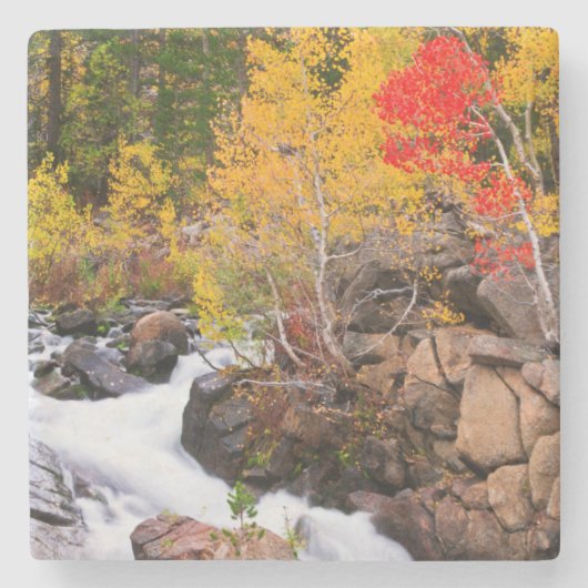 Herfstkleuren langs Bishop Creek, CA Stenen Onderzetter (Voorkant)