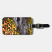 Herfstkleuren langs McGee Creek Bagagelabel (Voorkant horizontaal)