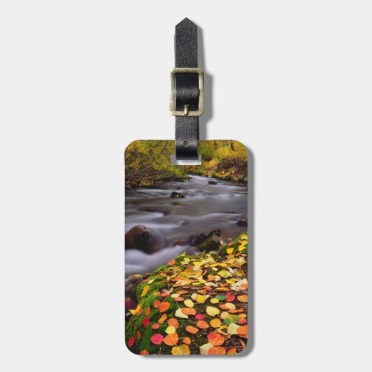 Herfstkleuren langs McGee Creek Bagagelabel (Voorkant verticaal)