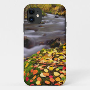 Herfstkleuren langs McGee Creek iPhone 11 Hoesje