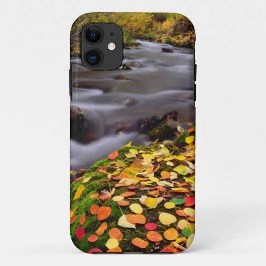 Herfstkleuren langs McGee Creek Case-Mate iPhone Case (Achterkant)