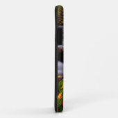 Herfstkleuren langs McGee Creek Case-Mate iPhone Case (Achterkant/rechts)