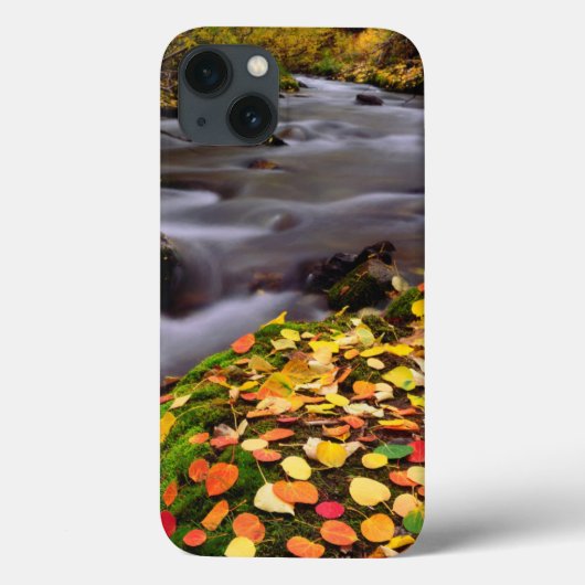 Herfstkleuren langs McGee Creek Case-Mate iPhone Case (Achterkant)