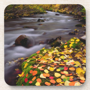 Herfstkleuren langs McGee Creek Drankjes Onderzetter