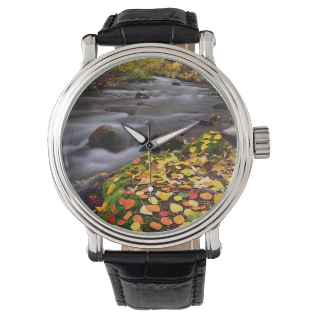 Herfstkleuren langs McGee Creek Horloge (Voorkant)
