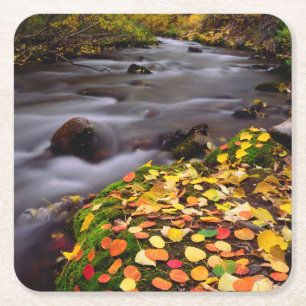 Herfstkleuren langs McGee Creek Kartonnen Onderzetters