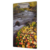 Herfstkleuren langs McGee Creek Klembord (Links)