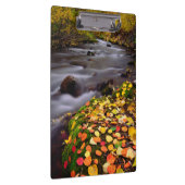 Herfstkleuren langs McGee Creek Klembord (Rechts)