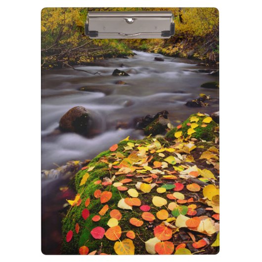 Herfstkleuren langs McGee Creek Klembord (Voorkant)