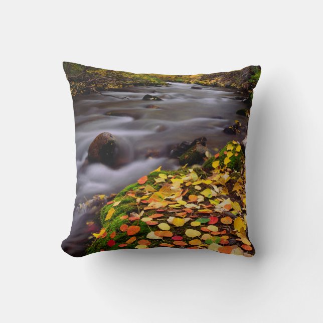 Herfstkleuren langs McGee Creek Kussen (Voorkant)