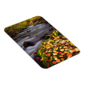 Herfstkleuren langs McGee Creek Magneet (Rechterzijde)
