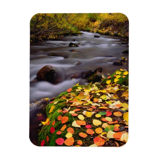 Herfstkleuren langs McGee Creek Magneet (Verticaal)