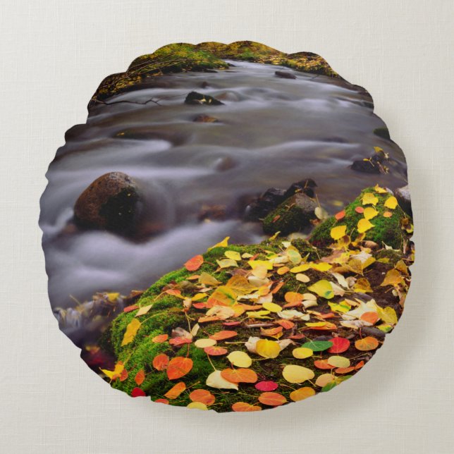 Herfstkleuren langs McGee Creek Rond Kussen (Voorkant)