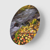 Herfstkleuren langs McGee Creek Ronde Klok (Hoek)