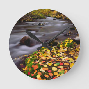 Herfstkleuren langs McGee Creek Ronde Klok