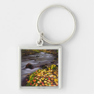 Herfstkleuren langs McGee Creek Sleutelhanger