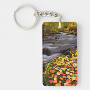 Herfstkleuren langs McGee Creek Sleutelhanger