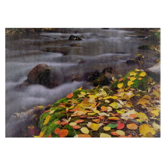 Herfstkleuren langs McGee Creek Snijplank (Voorkant)