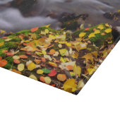 Herfstkleuren langs McGee Creek Snijplank (Hoek)