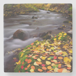 Herfstkleuren langs McGee Creek Stenen Onderzetter