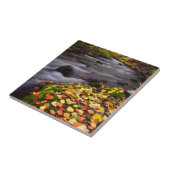 Herfstkleuren langs McGee Creek Tegeltje (Zijkant)