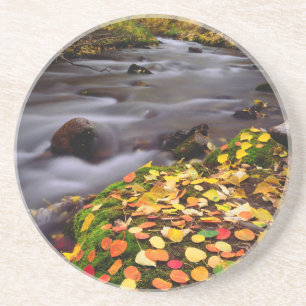 Herfstkleuren langs McGee Creek Zandsteen Onderzetter