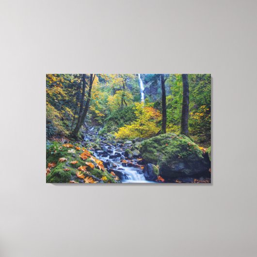 Herfstkleuren langs Starvation Creek Falls 2 Canvas Afdruk (Voorkant)
