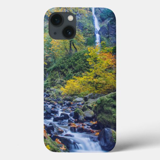 Herfstkleuren langs Starvation Creek Falls 2 Case-Mate iPhone Case (Achterkant)