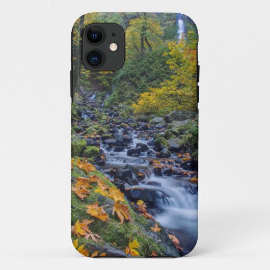 Herfstkleuren langs Starvation Creek Falls Case-Mate iPhone Case (Achterkant)
