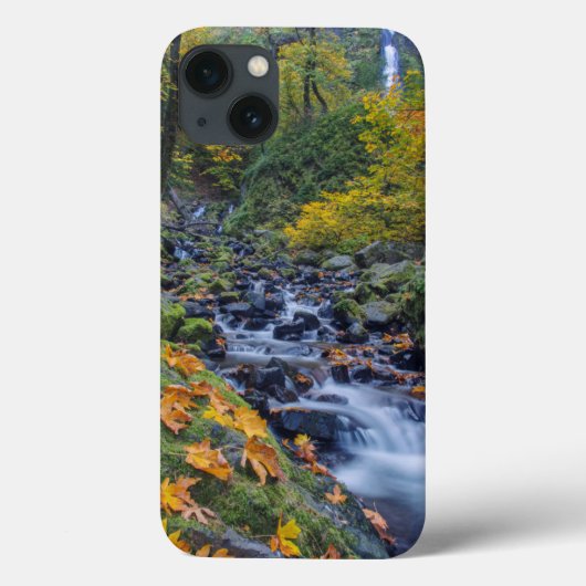 Herfstkleuren langs Starvation Creek Falls Case-Mate iPhone Case (Achterkant)