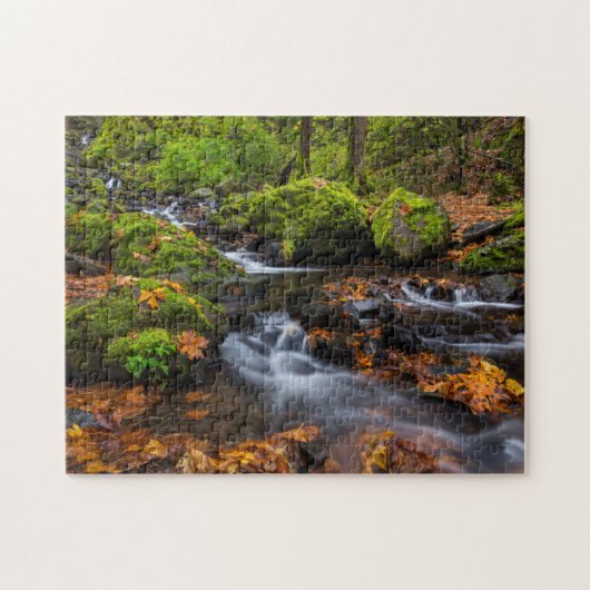 Herfstkleuren langs Starvation Creek Falls Legpuzzel (Horizontaal)