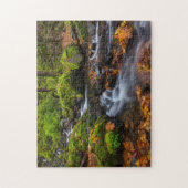Herfstkleuren langs Starvation Creek Falls Legpuzzel (Verticaal)