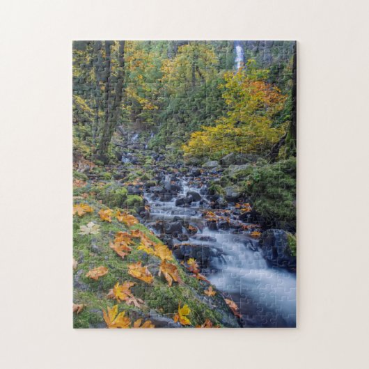 Herfstkleuren langs Starvation Creek Falls Legpuzzel (Verticaal)