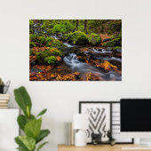 Herfstkleuren langs Starvation Creek Falls Poster (Thuiskantoor)