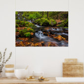 Herfstkleuren langs Starvation Creek Falls Poster (Keuken)