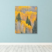 Herfstkleuren op Espenbosjes Canvas Afdruk (Insitu (Houten vloer))