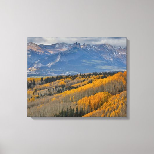 Herfstkleuren op Espenbosjes Canvas Afdruk (Voorkant)