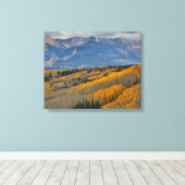 Herfstkleuren op Espenbosjes Canvas Afdruk (Insitu (Houten vloer))