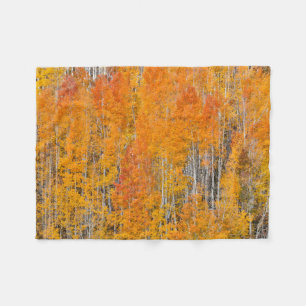 Herfstkleuren op Espenbosjes Fleece Deken