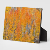 Herfstkleuren op Espenbosjes Fotoplaat (Zijkant)