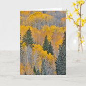 Herfstkleuren op Espenbosjes Kaart (Gele Bloem)