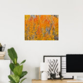 Herfstkleuren op Espenbosjes Poster (Thuiskantoor)