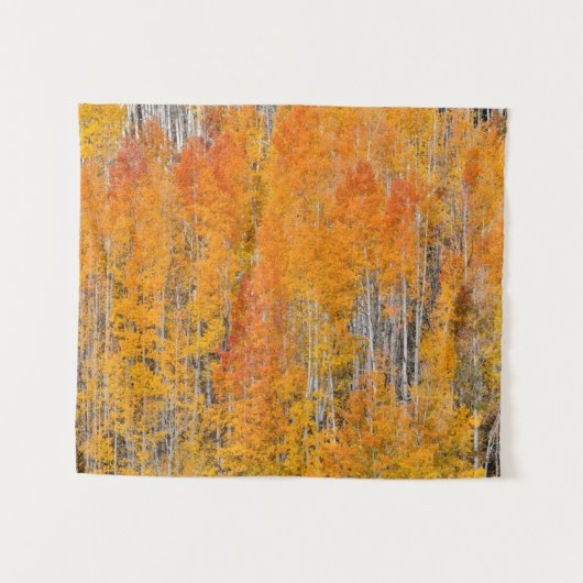 Herfstkleuren op Espenbosjes Wandkleed (Voorkant (horizontaal))