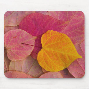Herfstkleuren op Forest Pansy Redbud afgevallen Muismat
