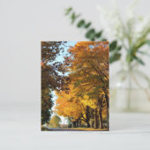 Herfstkleuren op Landweg Briefkaart (Staand voorkant)